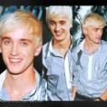 /album/tom-felton-/tumblr-l6ckeifnb31qa1rooo1-500-large-jpg/