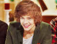 /album/one-direction-/tumblr-lzgt3mp3vt1qktotfo1-500-large-png/